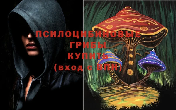 МДМА Арсеньев