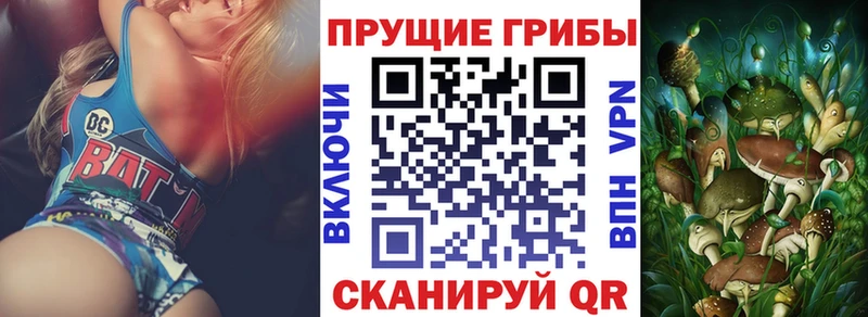 Псилоцибиновые грибы мухоморы Карачаевск